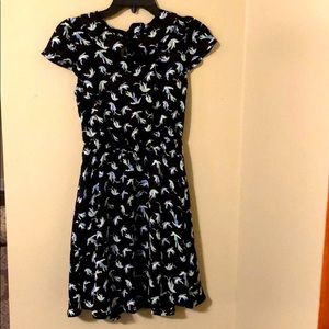 Beautiful Navy Lauren Conrad dress size 4